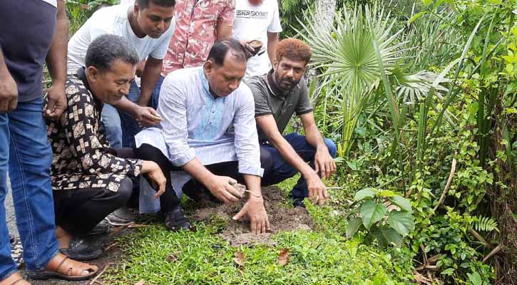 বাগেরহাটে বিএনপির প্রতিষ্ঠা বার্ষিকীতে তালের চারা রোপনসহ নানা আয়োজন